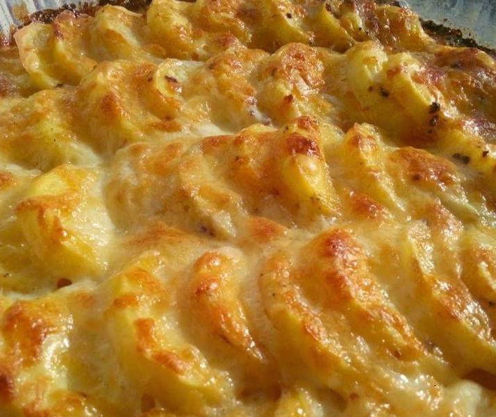 Flere kinakål bronze Cartofi gratinati la cuptor cu smantană, ierburi aromatice si cascaval •  Gustoase.net