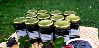 Reteta Dulceata de Aronia