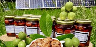 Dulceata De Nuci Verzi Si Miere