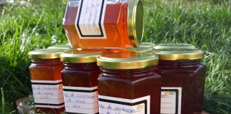 Reteta Sirop De Cimbrisor
